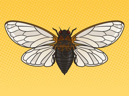 Illustration for Cicadidae cicada insect animal pinup pop art retro vector illustration. Comic book style imitation. - Royalty Free Image