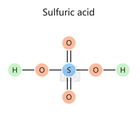 Illustration for Chemical organic formula of sulfuric acid diagram schematic vector illustration. Medical science educational illustration - Royalty Free Image
