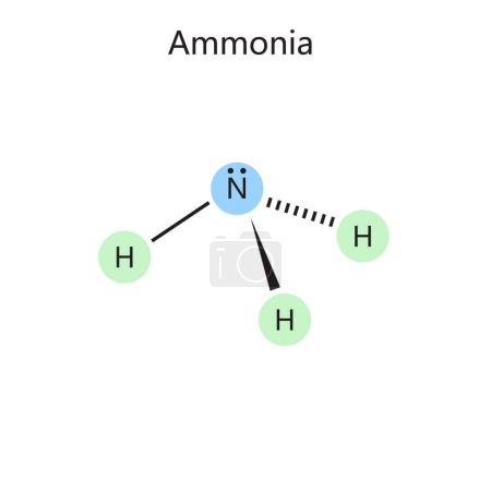 Fórmula química orgánica de amoniaco diagrama dibujado a mano ilustración vectorial esquemática. Ilustración educativa de ciencias médicas