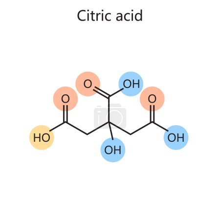 Ilustración de Fórmula química orgánica del ácido cítrico dibujado a mano diagrama esquemático vector ilustración. Ilustración educativa de ciencias médicas - Imagen libre de derechos