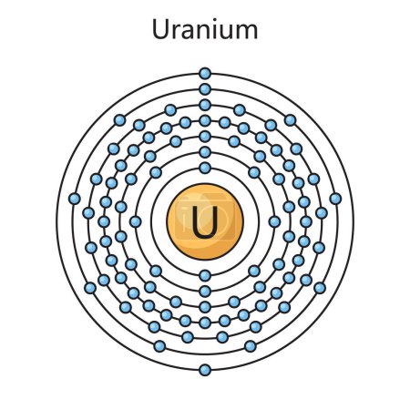 Illustration for Uranium atom model physics vector illustration. Bohr model. Scientific educational physical illustration of the structure of the atom. - Royalty Free Image