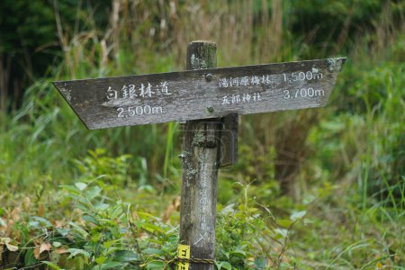 Signposts (Shirogane Forest Road, Yugawara Plum Grove, Goro Shrine)