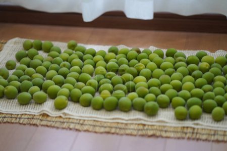Photo for Drying green plums indoors - Royalty Free Image