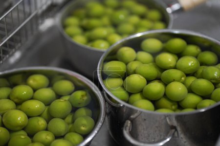 Téléchargez les photos : Comment tremper les prunes dans l'eau - en image libre de droit
