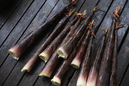 Téléchargez les photos : Pousses de bambou Madake récoltées - en image libre de droit