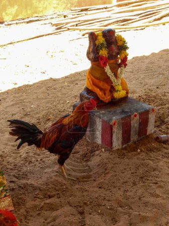 Foto de Rooster in the Guardians of the Lineage (Kuladeivam Temples in Tamil Nadu,India) - Imagen libre de derechos