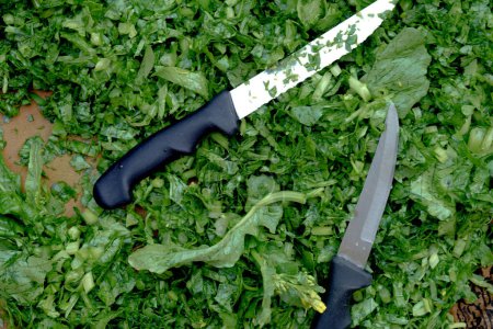 Photo for Chopping greens leafy or sarson ka saag - Royalty Free Image