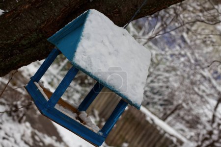 Photo for Blue house, bird feeder on a tree in the yard, Kharkiv, Ukraine - Royalty Free Image