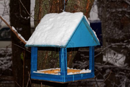 Photo for Blue house, bird feeder on a tree in the yard, Kharkiv, Ukraine - Royalty Free Image
