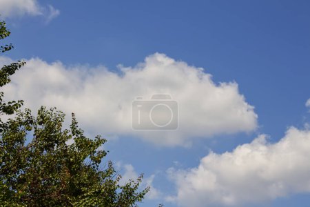 Foto de Hermosas nubes en el cielo azul del verano - Imagen libre de derechos