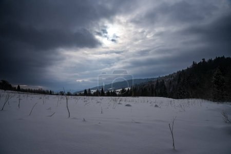 Foto de Hermoso paisaje de invierno en los Cárpatos Ucranianos - Imagen libre de derechos