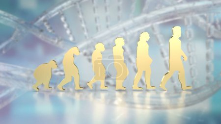 Human evolution image for education or sci concept 3d rendering