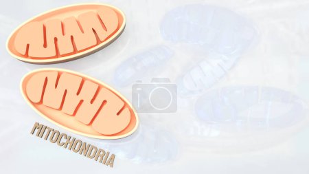 Photo for Mitochondria are cellular organelles found in most eukaryotic cells, often referred to as the powerhouse of the cell due to their vital role in energy production. - Royalty Free Image