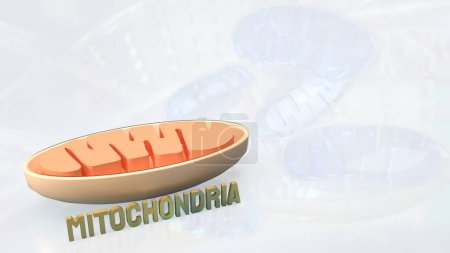 Photo for Mitochondria are cellular organelles found in most eukaryotic cells, often referred to as the powerhouse of the cell due to their vital role in energy production. - Royalty Free Image