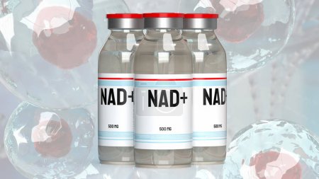 Foto de Nicotinamida adenina dinucleótido (NAD +) es una coenzima que se encuentra en las células que desempeña un papel crucial en varios procesos biológicos, en particular los involucrados en el metabolismo energético. - Imagen libre de derechos