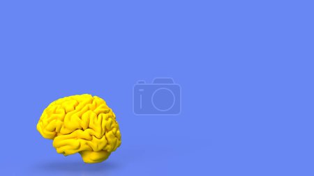Foto de El cerebro es un órgano complejo y vital que sirve como el centro de mando del sistema nervioso central en los seres humanos y muchos otros animales. - Imagen libre de derechos