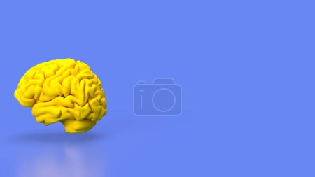 Foto de El cerebro es un órgano complejo y vital que sirve como el centro de mando del sistema nervioso central en los seres humanos y muchos otros animales. - Imagen libre de derechos