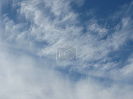 Photo for Cirrus clouds in the blue sky. Feather clouds. - Royalty Free Image