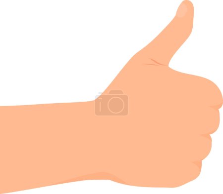Photo for Hand making thumb up gesture. View from the back side of hand. Flat vector illustration. - Royalty Free Image