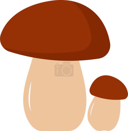 Photo for Two white mushrooms. Flat vector illustration. - Royalty Free Image