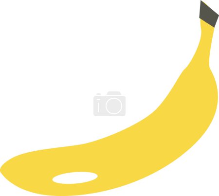Photo for Yellow banana vector illustration - Royalty Free Image