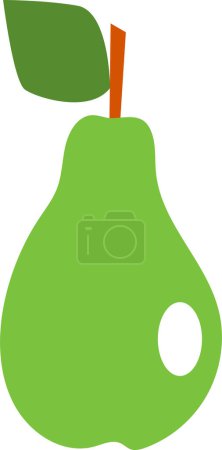 Photo for Green pear vector illustration - Royalty Free Image