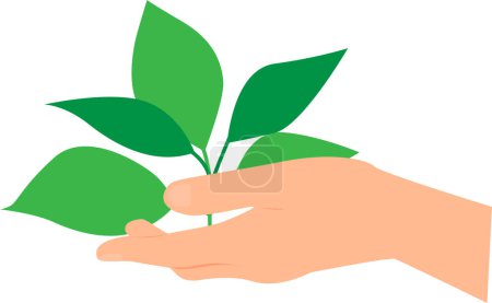 Photo for Hand holding green plant. Transparent background. Vector illustration - Royalty Free Image