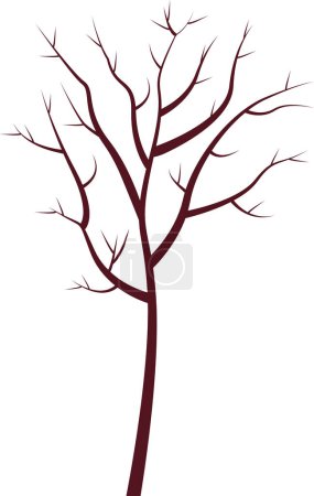Photo for A tree without leaves. Winter. Vector illustration. Transparent background. - Royalty Free Image