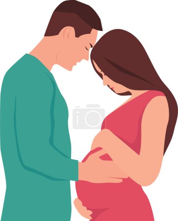 Photo for Man touching the belly of a pregnant woman. Family. Transparent background. Vector illustration - Royalty Free Image