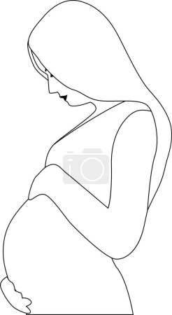 Photo for A pregnant woman touching her belly. Outline vector illustration. Transparent background. - Royalty Free Image