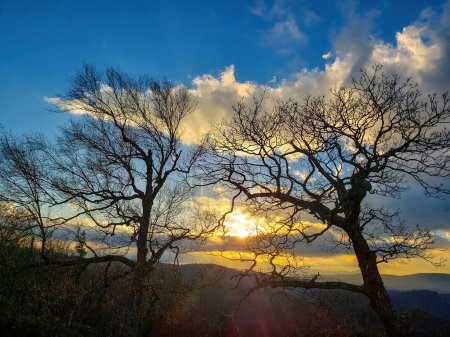 Téléchargez les photos : Sunset from Raven Rock, Coopers Rock State Forest, Canton, NC, United State - en image libre de droit