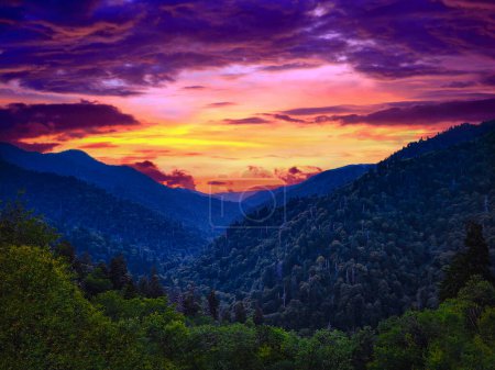 Téléchargez les photos : Misty valley and mountains, Great Smoky Mountains National Park, North Carolina. - en image libre de droit