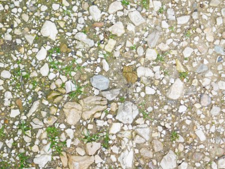 Photo for Stone Texture Outdoors In The Garden - Royalty Free Image