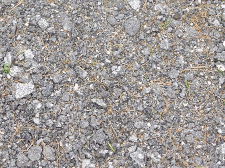 Photo for Close-up shot of Stone Texture In The Garden for background - Royalty Free Image