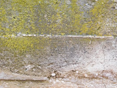 Foto de Fondo de una vieja pared con ladrillos cubiertos de musgo. - Imagen libre de derechos