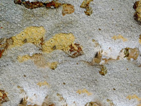 Photo for Close-up shot of stone texture for background - Royalty Free Image