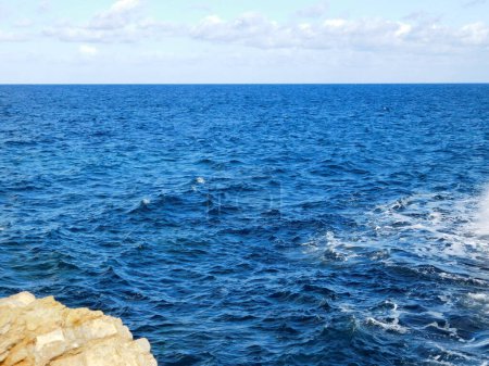 Foto de Increíble vista de la hermosa costa rocosa del mar - Imagen libre de derechos