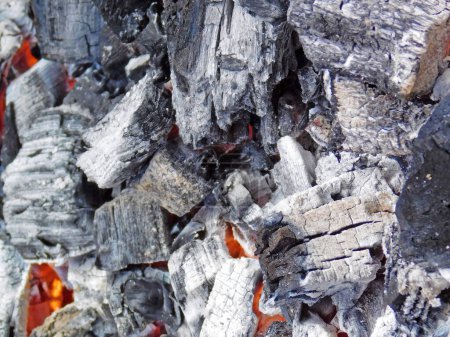 Photo for Close up of a pile of firewood, coal texture - Royalty Free Image