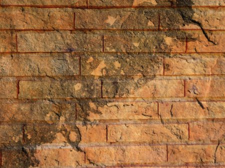 Téléchargez les photos : Fond de mur de briques, texture grunge - en image libre de droit