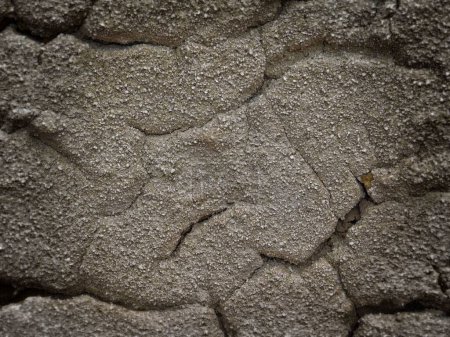 Foto de Primer plano de textura de piedra para el fondo - Imagen libre de derechos