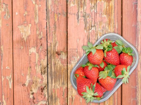 Téléchargez les photos : Vue de dessus des fraises mûres fraîches sur fond en bois - en image libre de droit