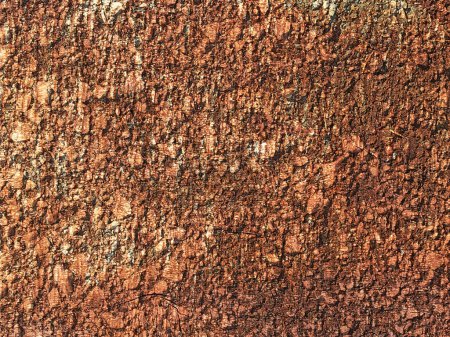 Foto de Textura de piedra en el jardín para el fondo - Imagen libre de derechos