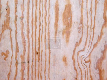Téléchargez les photos : Texture en bois dans le jardin pour le fond - en image libre de droit