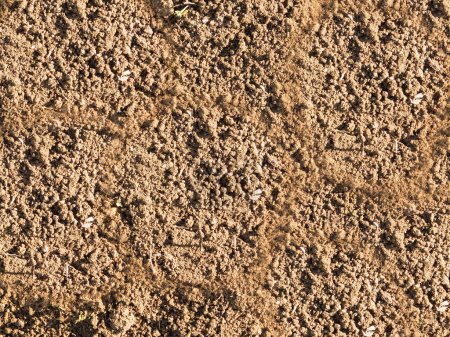 Photo for Soil texture background, ground surface - Royalty Free Image