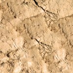 close-up shot of stone texture for background