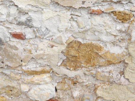 Foto de Primer plano de textura de piedra en el jardín para el fondo - Imagen libre de derechos
