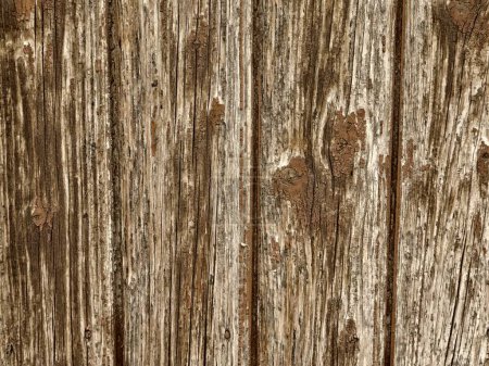 Photo for Brown Wood Texture for background - Royalty Free Image