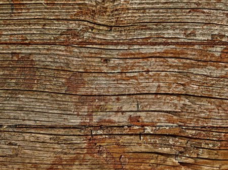 Foto de Textura de madera marrón para el fondo - Imagen libre de derechos