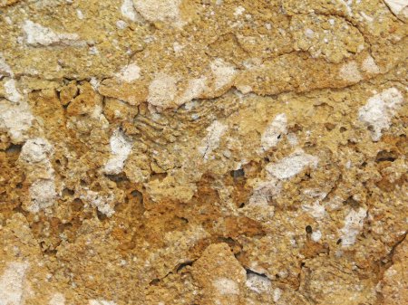 Photo for Close-up shot of Stone Texture In The Garden for background - Royalty Free Image