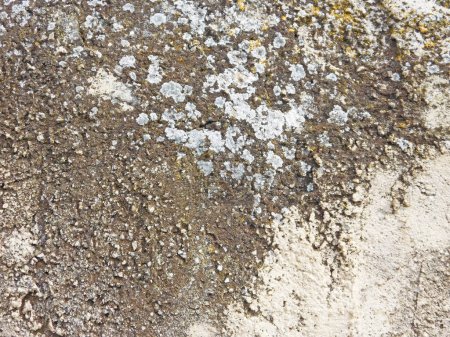 Photo for Texture of old gray wall covered with gray concrete. grunge texture for background - Royalty Free Image